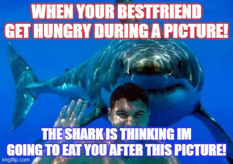 shark | WHEN YOUR BESTFRIEND GET HUNGRY DURING A PICTURE! THE SHARK IS THINKING IM GOING TO EAT YOU AFTER THIS PICTURE! | image tagged in shark | made w/ Imgflip meme maker