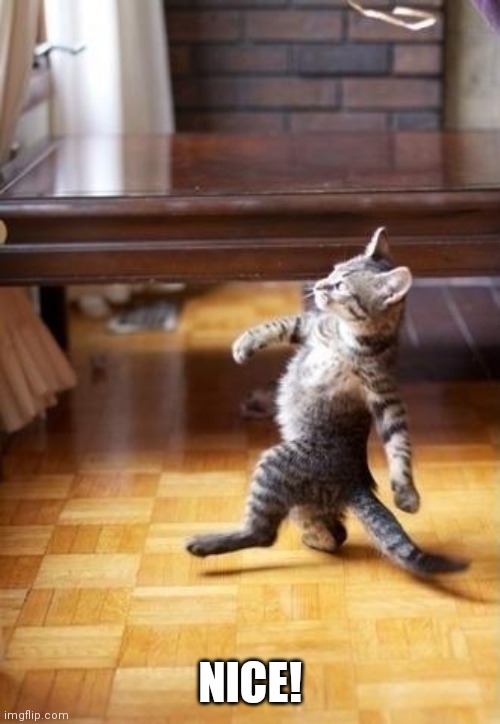 Cool Cat Stroll Meme | NICE! | image tagged in memes,cool cat stroll | made w/ Imgflip meme maker