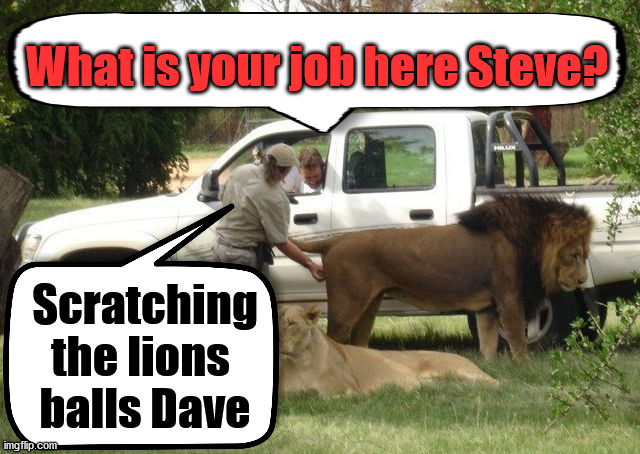 What is your job here Steve? Scratching the lions 
balls Dave | made w/ Imgflip meme maker