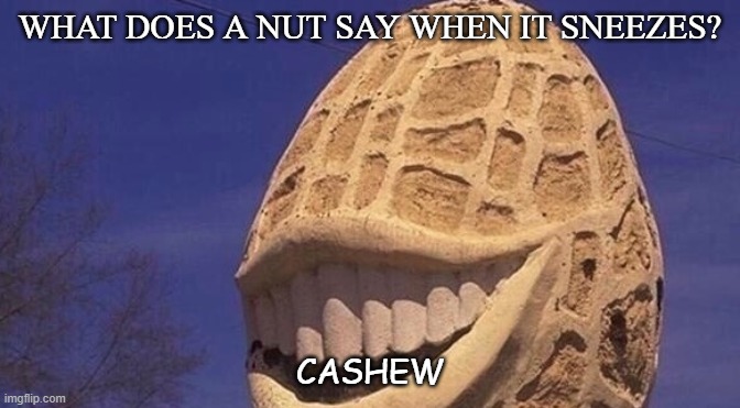 Daily Bad Dad Joke Aug 17 2020 | WHAT DOES A NUT SAY WHEN IT SNEEZES? CASHEW | image tagged in this pleases the nut | made w/ Imgflip meme maker