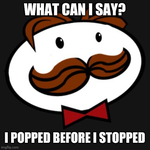 pringles | WHAT CAN I SAY? I POPPED BEFORE I STOPPED | image tagged in pringles | made w/ Imgflip meme maker