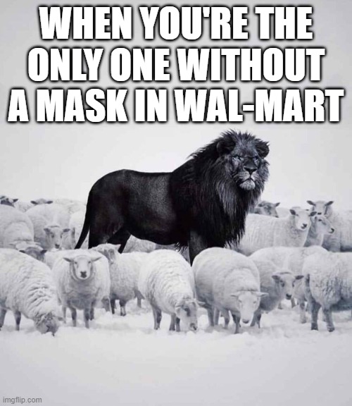 Wal-Mart without Mask |  WHEN YOU'RE THE ONLY ONE WITHOUT A MASK IN WAL-MART | image tagged in lion and sheep | made w/ Imgflip meme maker