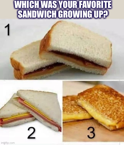 Which was your favorite? |  WHICH WAS YOUR FAVORITE SANDWICH GROWING UP? | image tagged in sandwiches,peanut butter,grilled cheese,vote,favorite | made w/ Imgflip meme maker