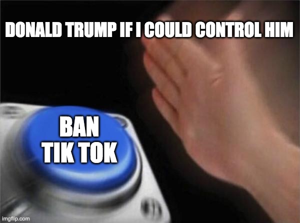 Blank Nut Button Meme | DONALD TRUMP IF I COULD CONTROL HIM; BAN TIK TOK | image tagged in memes,blank nut button | made w/ Imgflip meme maker