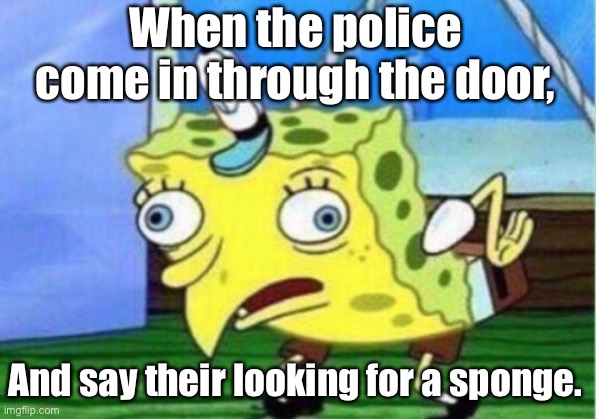 Mocking Spongebob | When the police come in through the door, And say their looking for a sponge. | image tagged in memes,mocking spongebob | made w/ Imgflip meme maker