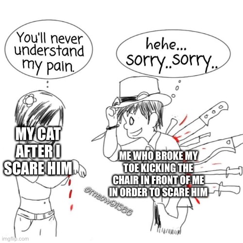 Only people with cats will understand | MY CAT AFTER I SCARE HIM; ME WHO BROKE MY TOE KICKING THE CHAIR IN FRONT OF ME IN ORDER TO SCARE HIM | image tagged in you'll never understand my pain | made w/ Imgflip meme maker