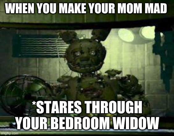 FNAF Springtrap in window | WHEN YOU MAKE YOUR MOM MAD; *STARES THROUGH YOUR BEDROOM WIDOW | image tagged in fnaf springtrap in window | made w/ Imgflip meme maker