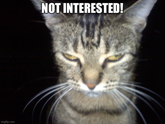Not interested! | NOT INTERESTED! | image tagged in angry tabby cat,angry cat,meme,funny meme,memes | made w/ Imgflip meme maker