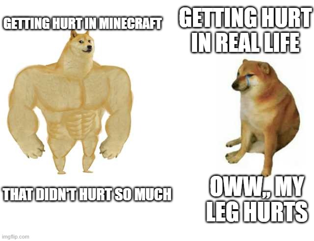 damage resistance | GETTING HURT IN REAL LIFE; GETTING HURT IN MINECRAFT; OWW,, MY LEG HURTS; THAT DIDN'T HURT SO MUCH | image tagged in strong doge weak doge | made w/ Imgflip meme maker