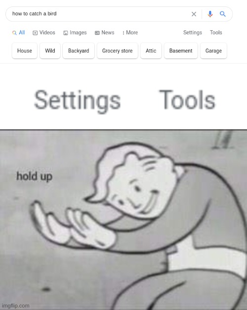 i was on google and i saw this... | image tagged in fallout hold up,hol up,how to catch a bird,gone wrong | made w/ Imgflip meme maker