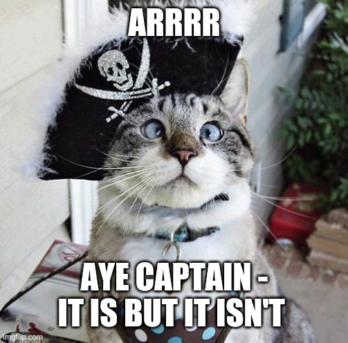 Spangles Meme | ARRRR AYE CAPTAIN - IT IS BUT IT ISN'T | image tagged in memes,spangles | made w/ Imgflip meme maker