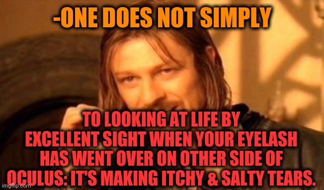 -Care of attention before standing around mirror. | -ONE DOES NOT SIMPLY; TO LOOKING AT LIFE BY EXCELLENT SIGHT WHEN YOUR EYELASH HAS WENT OVER ON OTHER SIDE OF OCULUS: IT'S MAKING ITCHY & SALTY TEARS. | image tagged in one does not simply,eye roll,captain hindsight,truth hurts,hygiene,worst | made w/ Imgflip meme maker