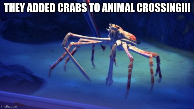 my favorite crustation in my favorite game | THEY ADDED CRABS TO ANIMAL CROSSING!!! | image tagged in animal crossing,crab | made w/ Imgflip meme maker