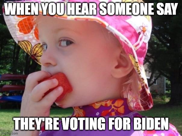 Really | WHEN YOU HEAR SOMEONE SAY; THEY'RE VOTING FOR BIDEN | image tagged in annoyed | made w/ Imgflip meme maker