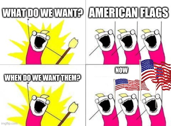 What Do We Want | WHAT DO WE WANT? AMERICAN FLAGS; WHEN DO WE WANT THEM? NOW | image tagged in memes,what do we want | made w/ Imgflip meme maker