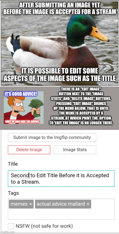 Second Chance to Edit Image Before It Is Accepted To A Stream | THERE IS AN "EDIT IMAGE" BUTTON NEXT TO THE "IMAGE STATS" AND "DELETE IMAGE" BUTTONS. PRESSING "EDIT IMAGE" BRINGS UP THE MENU BELOW. THAT IS UNTIL THE MEME IS ACCEPTED BY A STREAM. AT WHICH POINT THE  OPTION TO 'EDIT THE IMAGE' IS NO LONGER THERE. IT'S GOOD ADVICE! SHUT UP AND TAKE THE ADVICE. | image tagged in actual advice mallard,shut up and take my money fry,using interface | made w/ Imgflip meme maker