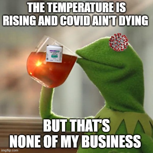 But That's None Of My Business | THE TEMPERATURE IS RISING AND COVID AIN'T DYING; BUT THAT'S NONE OF MY BUSINESS | image tagged in memes,but that's none of my business,kermit the frog,covid-19,coronavirus meme,covidiots | made w/ Imgflip meme maker