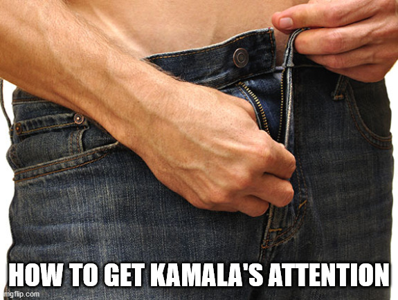 Unzip Pants | HOW TO GET KAMALA'S ATTENTION | image tagged in unzip pants | made w/ Imgflip meme maker