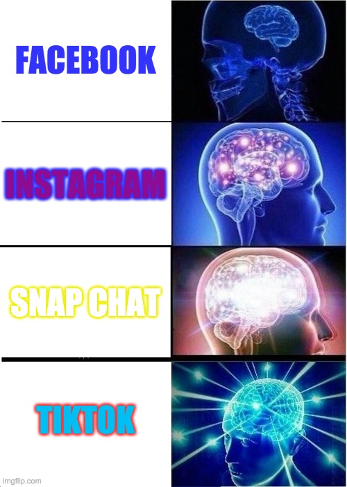 Expanding Brain | FACEBOOK; INSTAGRAM; SNAP CHAT; TIKTOK | image tagged in memes,expanding brain | made w/ Imgflip meme maker