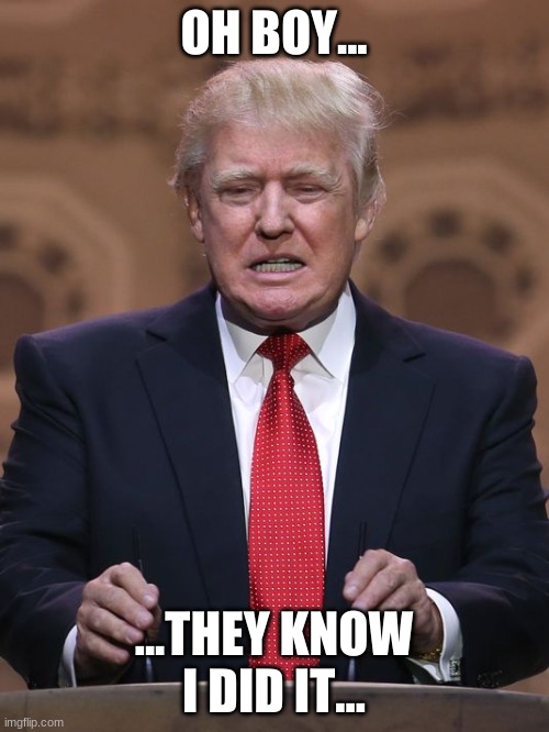 Donald Trump | OH BOY... ...THEY KNOW I DID IT... | image tagged in donald trump | made w/ Imgflip meme maker