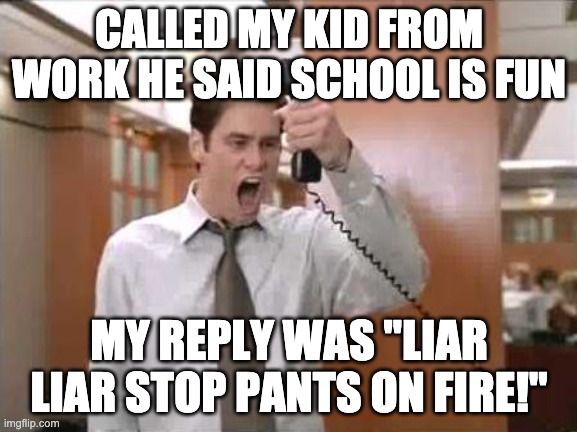 Liar Liar Stop Breaking The Law | CALLED MY KID FROM WORK HE SAID SCHOOL IS FUN; MY REPLY WAS "LIAR LIAR STOP PANTS ON FIRE!" | image tagged in liar liar stop breaking the law | made w/ Imgflip meme maker