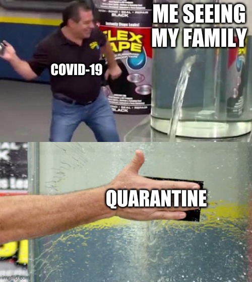 Quarantine | ME SEEING MY FAMILY; COVID-19; QUARANTINE | image tagged in flex tape,quarantine,covid-19 | made w/ Imgflip meme maker