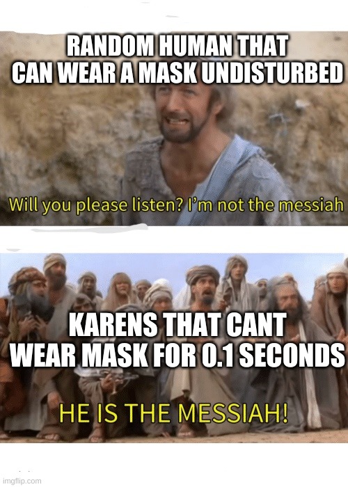 Karens | RANDOM HUMAN THAT CAN WEAR A MASK UNDISTURBED; KARENS THAT CANT WEAR MASK FOR 0.1 SECONDS | image tagged in he is the messiah,karen | made w/ Imgflip meme maker