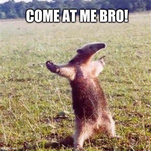 Ant-eater | COME AT ME BRO! | image tagged in ant-eater | made w/ Imgflip meme maker