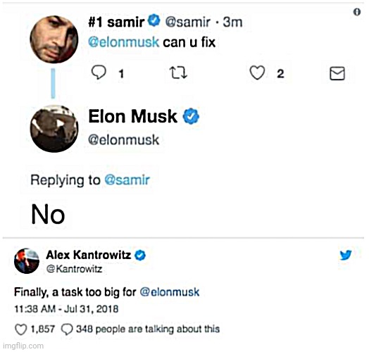 Elon Musk fake Twitter | image tagged in elon musk twitter,fake twitter | made w/ Imgflip meme maker