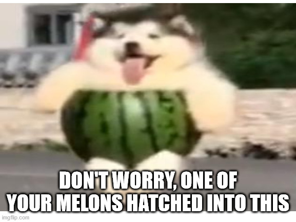 DON'T WORRY, ONE OF YOUR MELONS HATCHED INTO THIS | made w/ Imgflip meme maker