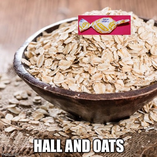 Hall and Oats | HALL AND OATS | image tagged in hall and oates | made w/ Imgflip meme maker