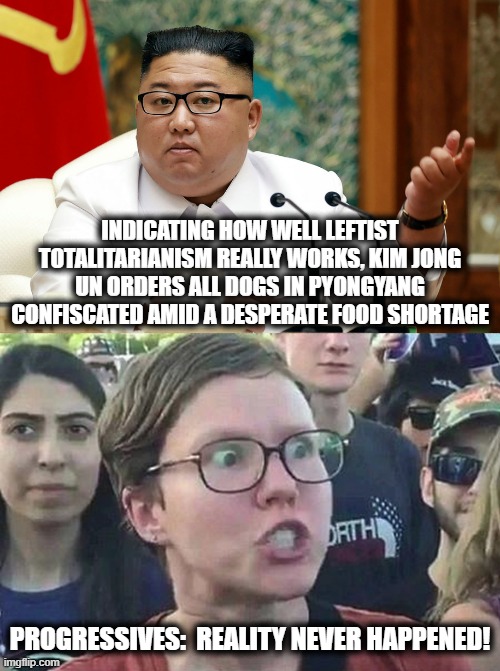 Where the left rules, the people suffer. | INDICATING HOW WELL LEFTIST TOTALITARIANISM REALLY WORKS, KIM JONG UN ORDERS ALL DOGS IN PYONGYANG CONFISCATED AMID A DESPERATE FOOD SHORTAGE; PROGRESSIVES:  REALITY NEVER HAPPENED! | image tagged in triggered liberal,memes,kim jong un,dogs confiscated,stupid liberals,food shortage | made w/ Imgflip meme maker