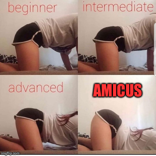 beginner intermediate advanced expert | AMICUS | image tagged in beginner intermediate advanced expert | made w/ Imgflip meme maker