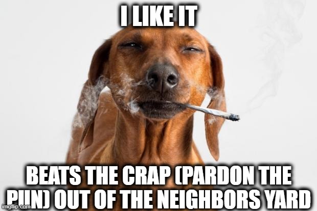 I LIKE IT BEATS THE CRAP (PARDON THE PUN) OUT OF THE NEIGHBORS YARD | made w/ Imgflip meme maker