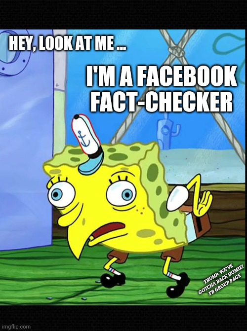 Spongebob Facebook Fact-Checker | HEY, LOOK AT ME ... I'M A FACEBOOK FACT-CHECKER; TRUMP, WE'VE GOTCHA BACK HOMIE! 
FB GROUP PAGE | image tagged in fact check,fact checking,social media,mark zuckerberg,twitter,facebook jail | made w/ Imgflip meme maker