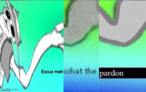 Excuse Me what the Pardon? Blank Meme Template