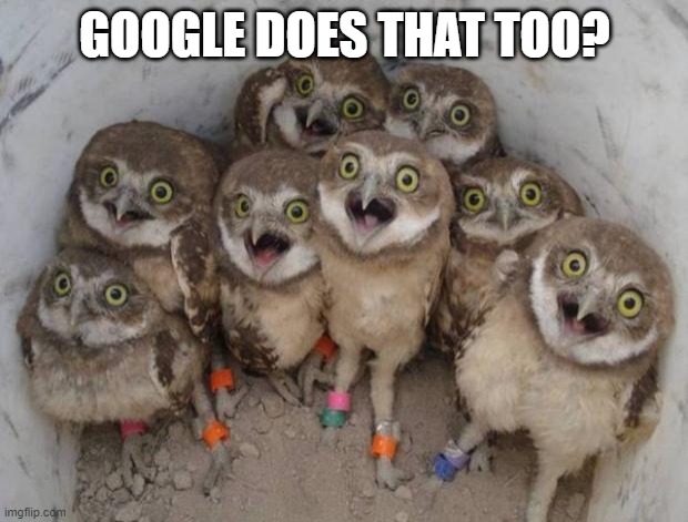 Excited Owls | GOOGLE DOES THAT TOO? | image tagged in excited owls | made w/ Imgflip meme maker