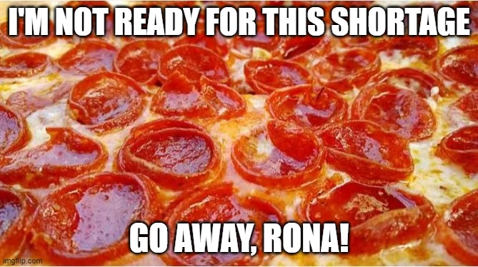 The next rona victim | I'M NOT READY FOR THIS SHORTAGE; GO AWAY, RONA! | image tagged in coronavirus | made w/ Imgflip meme maker