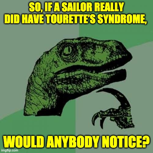 Hmmmm | SO, IF A SAILOR REALLY DID HAVE TOURETTE’S SYNDROME, WOULD ANYBODY NOTICE? | image tagged in memes,philosoraptor | made w/ Imgflip meme maker