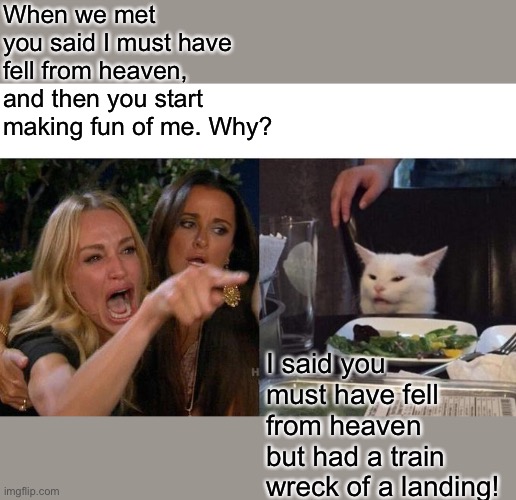 Woman yelling at cat | When we met you said I must have fell from heaven, and then you start making fun of me. Why? I said you must have fell from heaven but had a train wreck of a landing! | image tagged in memes,woman yelling at cat | made w/ Imgflip meme maker