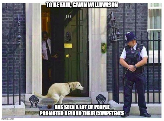 Dog Shits on 10 Downing St. doorstep  | TO BE FAIR, GAVIN WILLIAMSON; HAS SEEN A LOT OF PEOPLE PROMOTED BEYOND THEIR COMPETENCE | image tagged in dog shits on 10 downing st doorstep | made w/ Imgflip meme maker