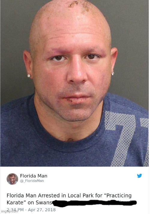 karate | image tagged in florida man,meanwhile in florida | made w/ Imgflip meme maker
