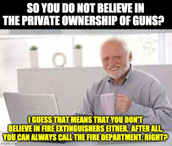 Harold | SO YOU DO NOT BELIEVE IN THE PRIVATE OWNERSHIP OF GUNS? I GUESS THAT MEANS THAT YOU DON'T BELIEVE IN FIRE EXTINGUISHERS EITHER.  AFTER ALL, YOU CAN ALWAYS CALL THE FIRE DEPARTMENT. RIGHT? | image tagged in harold | made w/ Imgflip meme maker
