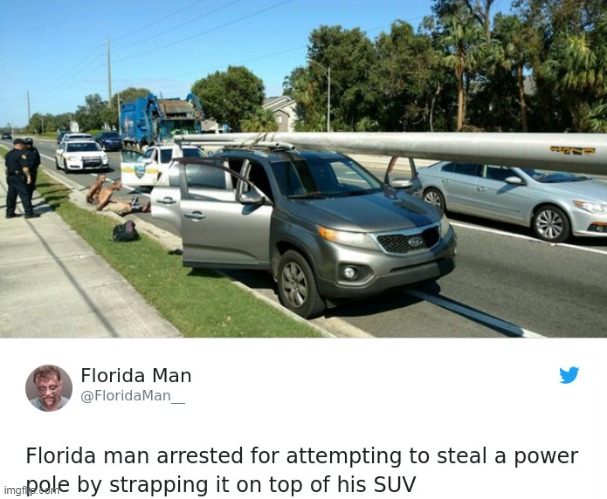 (power) pole theft | image tagged in florida,theft,meanwhile in florida | made w/ Imgflip meme maker