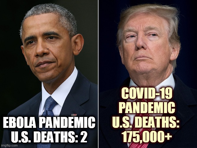 The college professor/social activist was a better manager than the failed businessman. | COVID-19 PANDEMIC
U.S. DEATHS: 
175,000+; EBOLA PANDEMIC
U.S. DEATHS: 2 | image tagged in obama,ebola,success,trump,covid-19,failure | made w/ Imgflip meme maker