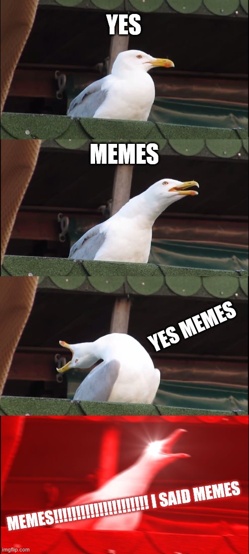memes I said | YES; MEMES; YES MEMES; MEMES!!!!!!!!!!!!!!!!!!!!! I SAID MEMES | image tagged in memes,inhaling seagull | made w/ Imgflip meme maker