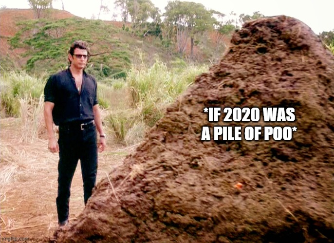 Memes, Poop, Jurassic Park | *IF 2020 WAS A PILE OF POO* | image tagged in memes poop jurassic park | made w/ Imgflip meme maker