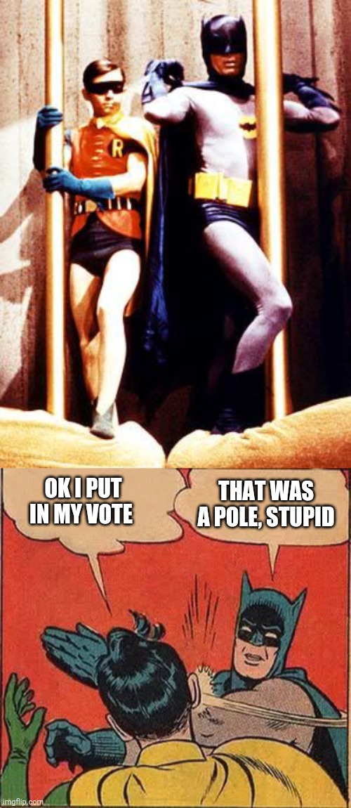 OK I PUT IN MY VOTE THAT WAS A POLE, STUPID | image tagged in memes,batman slapping robin,batman pole | made w/ Imgflip meme maker