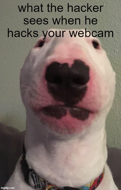 Walter | what the hacker sees when he hacks your webcam | image tagged in walter | made w/ Imgflip meme maker