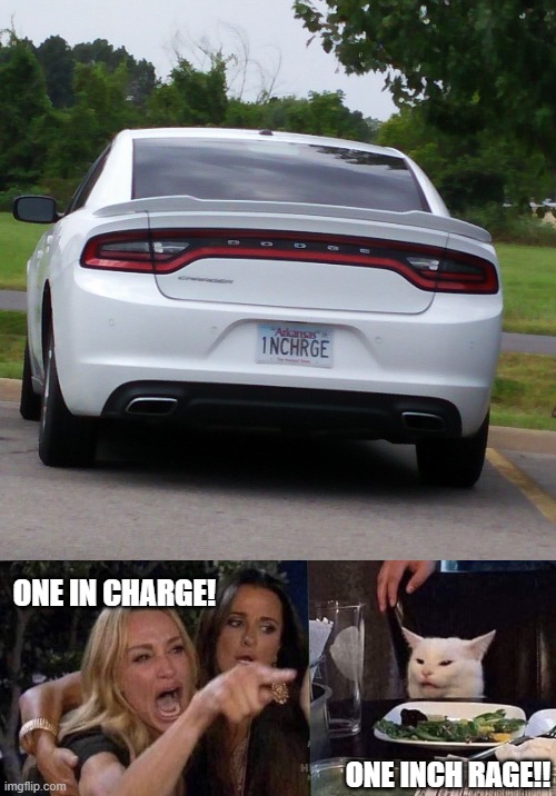 ONE IN CHARGE! ONE INCH RAGE!! | image tagged in woman yelling at cat | made w/ Imgflip meme maker